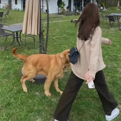 大过年的