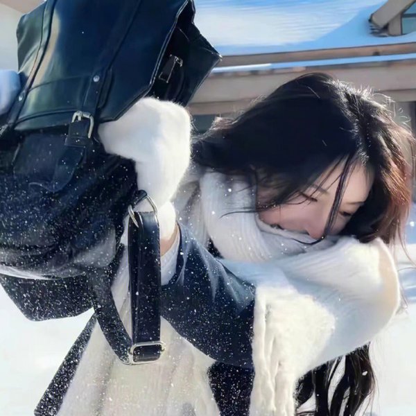 众人之妻